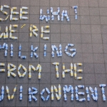 milk-bottles