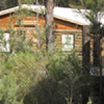 cabins-in-a-bush-setting
