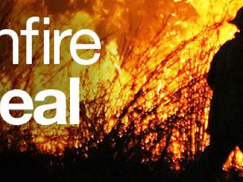 Mufti Day Bushfire Appeal