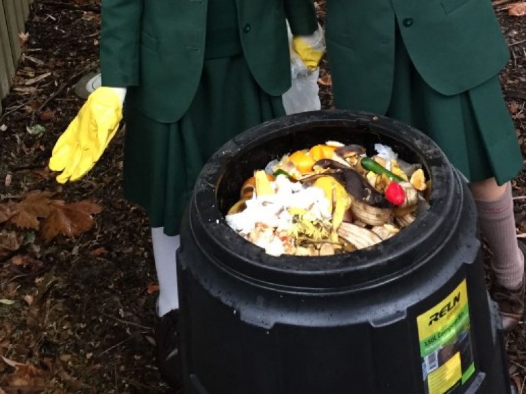 Year 4’s war on waste