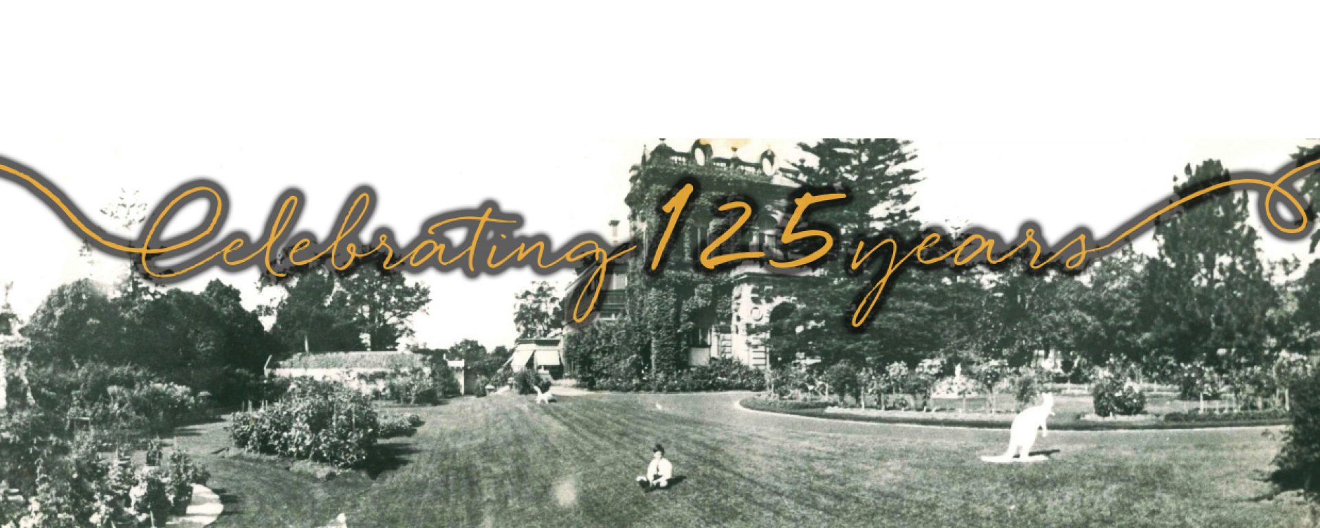 125 Years – Share your stories featured image