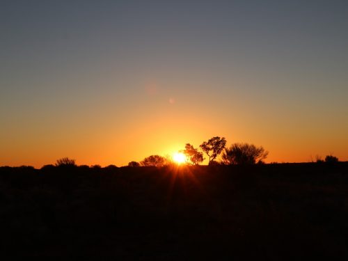 Central Australia Immersion