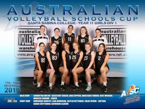 Australia’s top volleyballers (again)