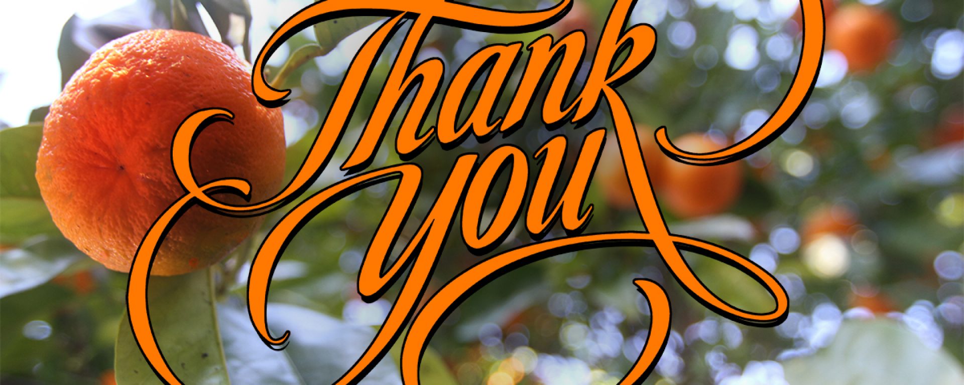 Donation Success featured image