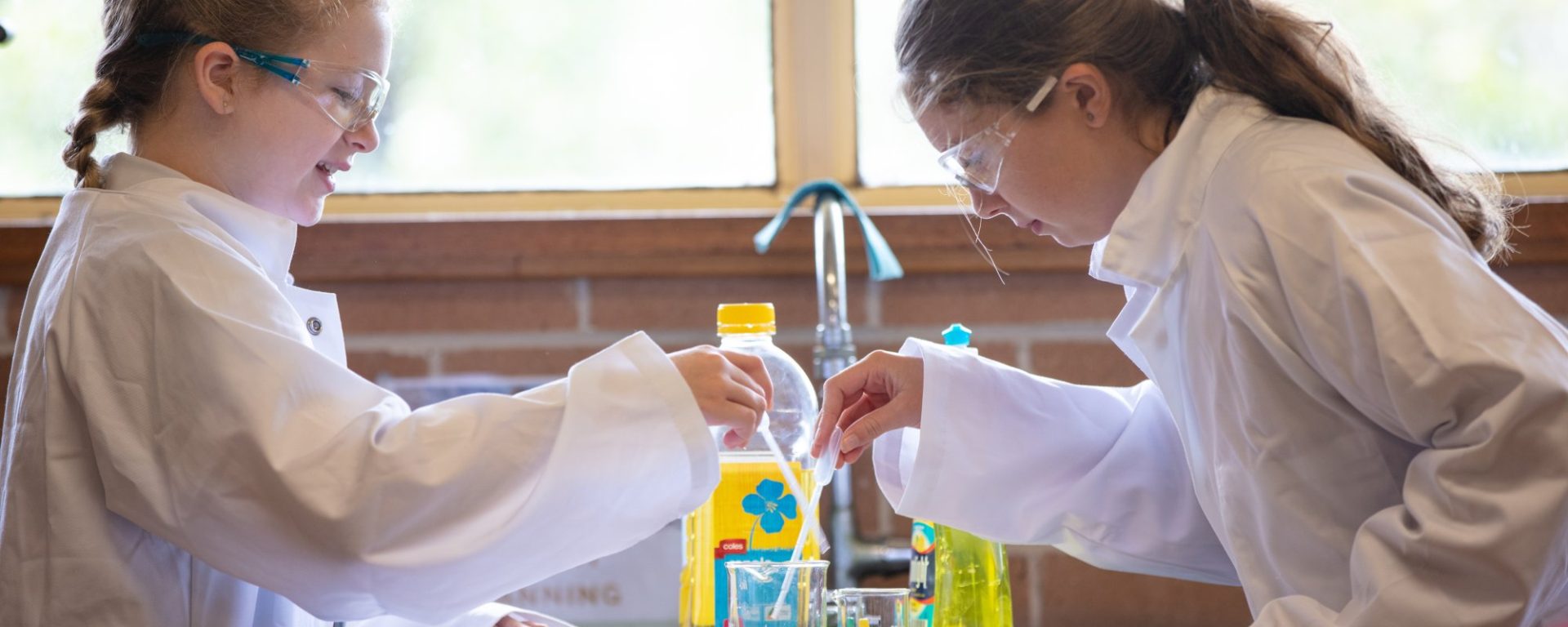 IB World School featured image